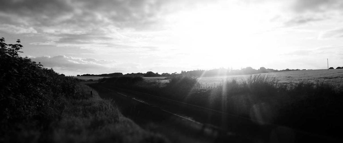 紹介コンテンツ画像